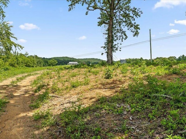 0 Cottonport Rd, Dayton, TN 37321 - photo 34
