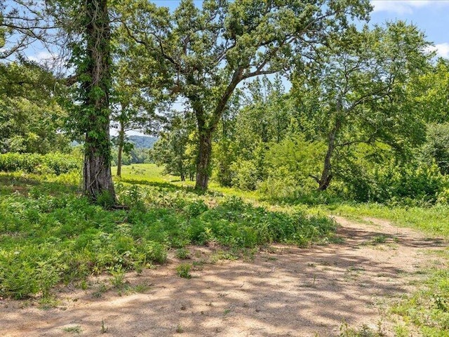 0 Cottonport Rd, Dayton, TN 37321 - photo 31