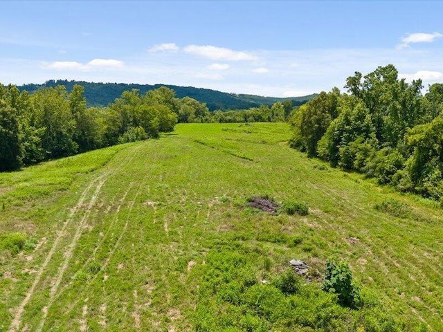0 Cottonport Rd, Dayton, TN 37321 - photo 9