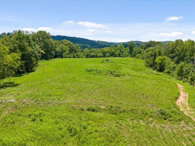 0 Cottonport Rd, Dayton, TN 37321 - photo 17