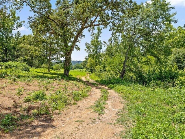 0 Cottonport Rd, Dayton, TN 37321 - photo 32