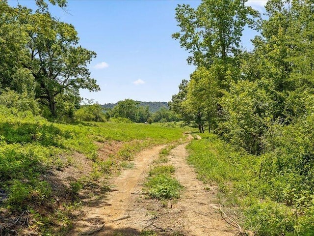 0 Cottonport Rd, Dayton, TN 37321 - photo 33