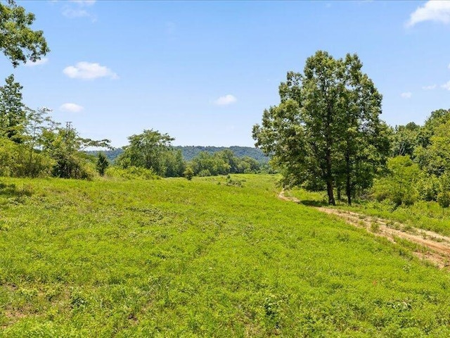 0 Cottonport Rd, Dayton, TN 37321 - photo 12