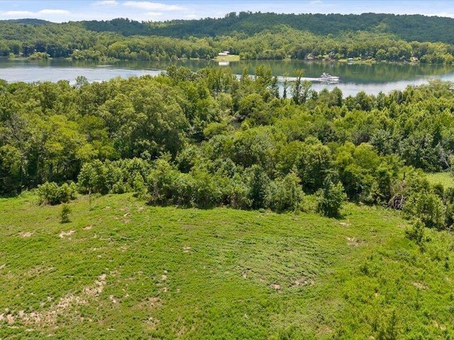 0 Cottonport Rd, Dayton, TN 37321 - photo 8