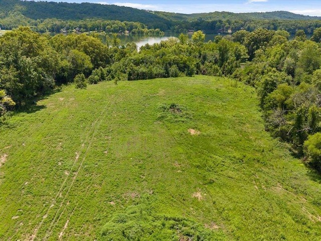 0 Cottonport Rd, Dayton, TN 37321 - photo 30