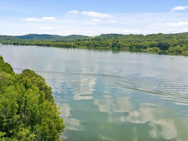 0 Cottonport Rd, Dayton, TN 37321 - photo 4