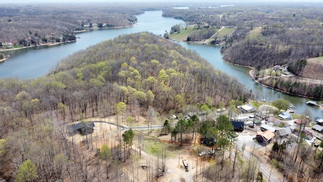 bird's eye view with a wooded view and a water view
