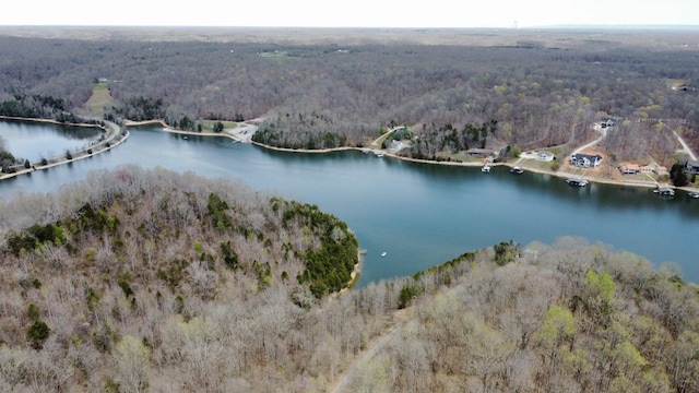 aerial view with a view of trees and a water view