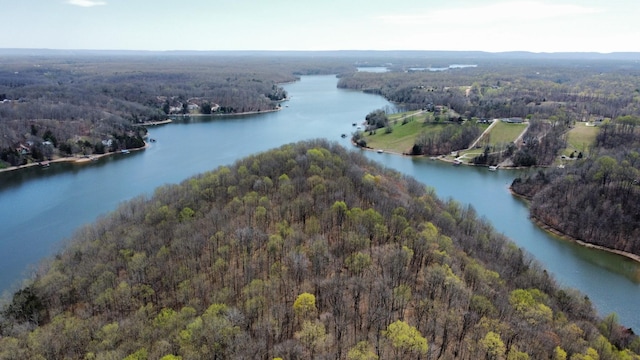 bird's eye view featuring a water view and a view of trees