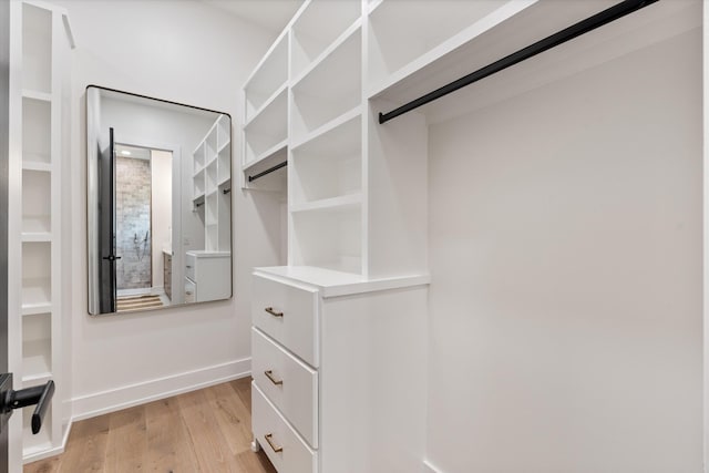 2510 Vaulx Ln, Nashville, TN 37204 - spacious closet with light wood-style floors