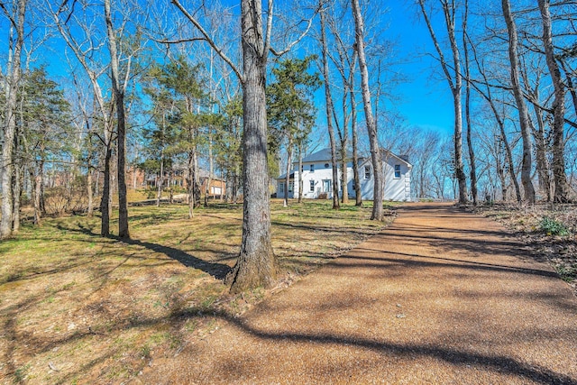 1237 Temple Ridge Dr, Nashville, TN 37221 - view of road with driveway