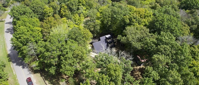 2235 Rock Springs Rd, Columbia, TN 38401 - birds eye view of property featuring a view of trees