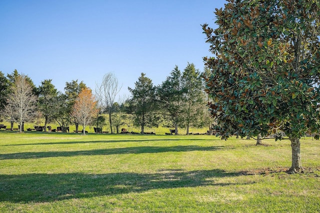 surrounding community with a lawn