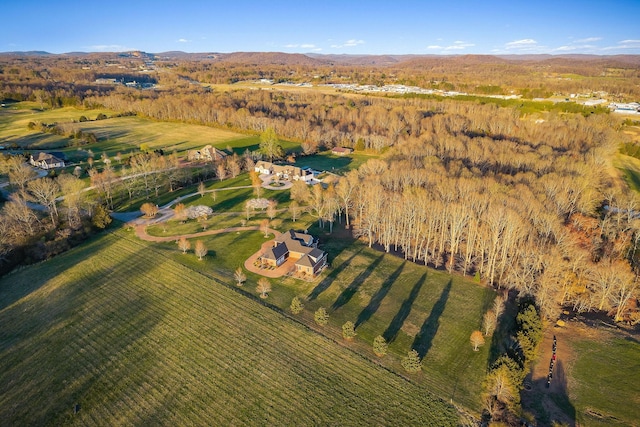 aerial view with a rural view
