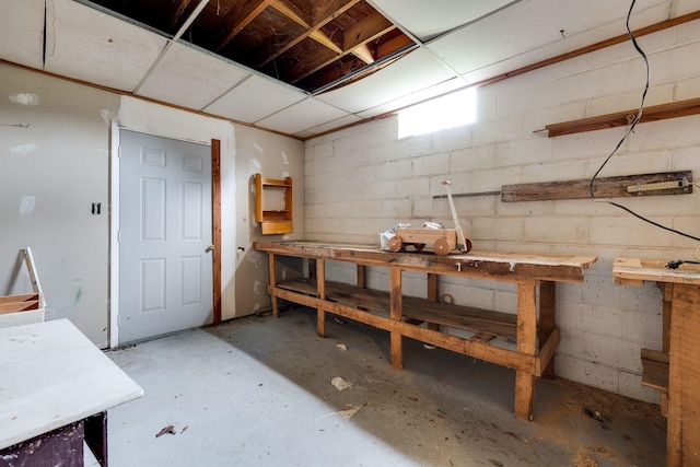 below grade area with concrete block wall and a workshop area
