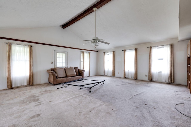 carpeted living room featuring a ceiling fan, high vaulted ceiling, beam ceiling, and a wealth of natural light