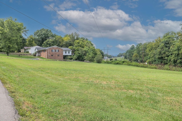 view of yard