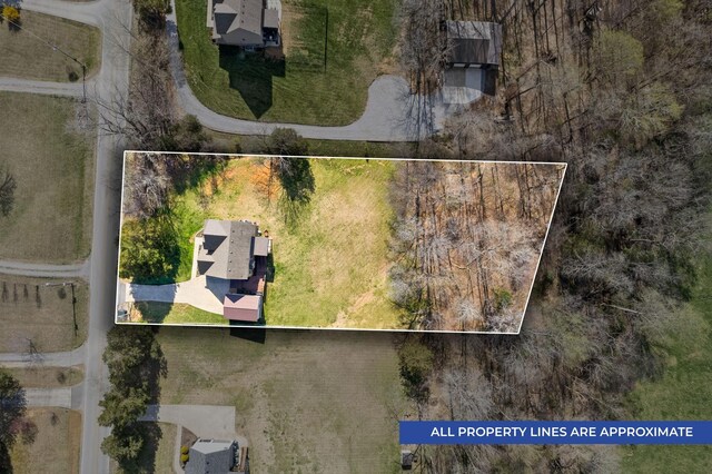 drone / aerial view