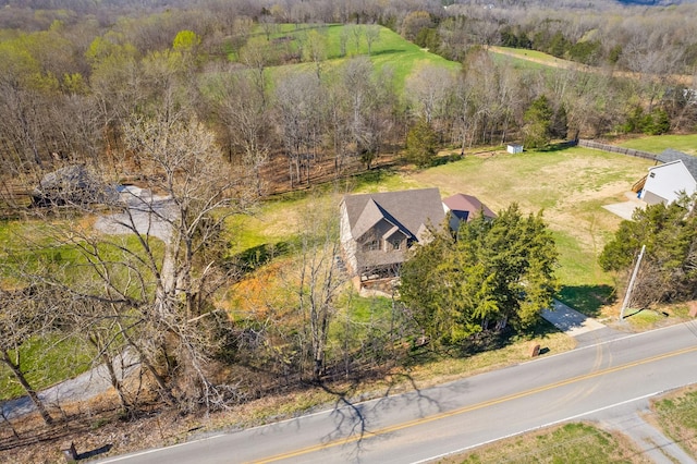 drone / aerial view