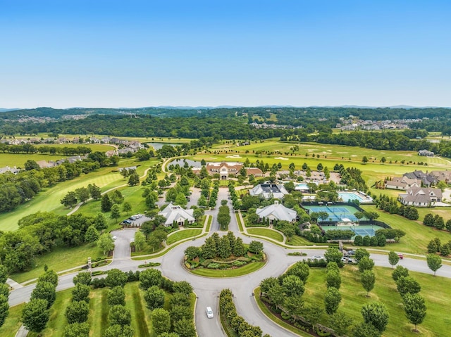 bird's eye view