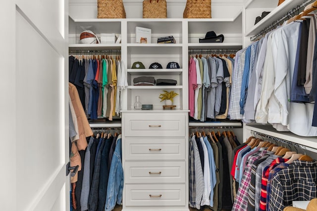 view of walk in closet