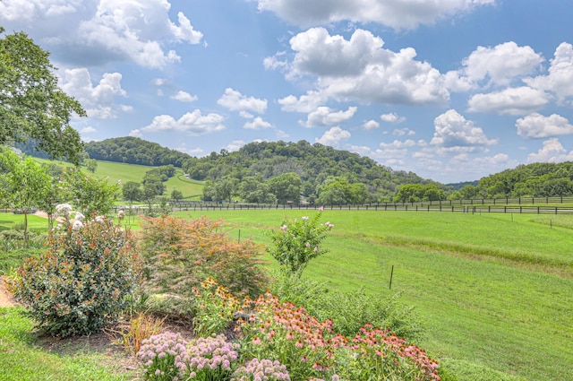 3004 Smith Ln, Franklin, TN 37069 - photo 2