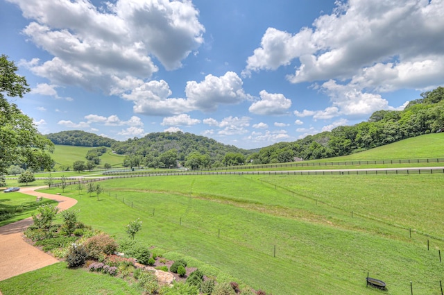 3004 Smith Ln, Franklin, TN 37069 - photo 30