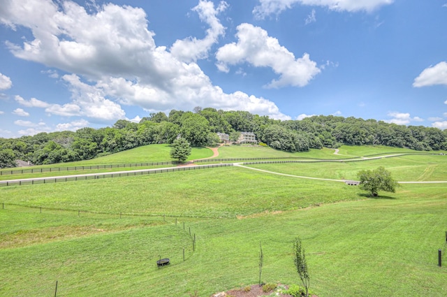 3004 Smith Ln, Franklin, TN 37069 - photo 55