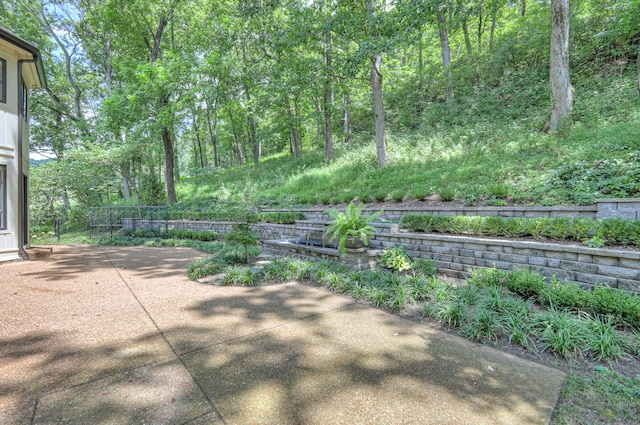 3004 Smith Ln, Franklin, TN 37069 - photo 49