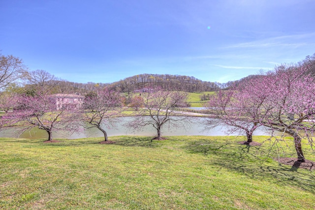 3004 Smith Ln, Franklin, TN 37069 - photo 69