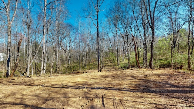 1461 Southside Rd, Southside, TN 37171