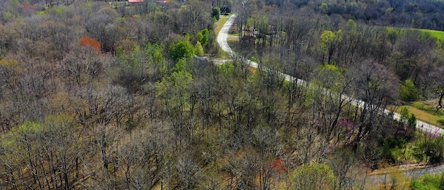 1461 Southside Rd, Southside, TN 37171