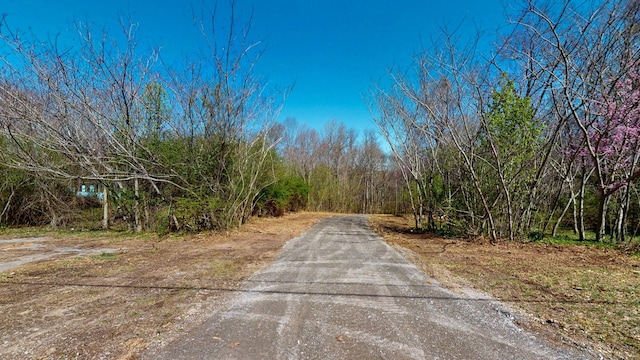 1461 Southside Rd, Southside, TN 37171