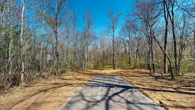 1461 Southside Rd, Southside, TN 37171