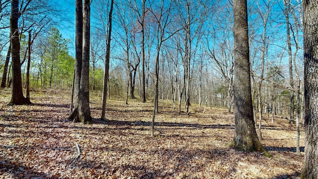 1461 Southside Rd, Southside, TN 37171