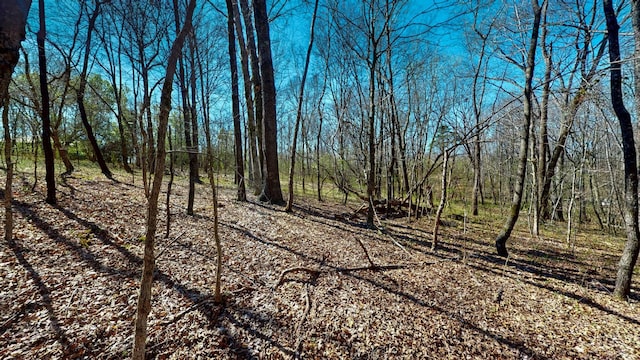 1461 Southside Rd, Southside, TN 37171