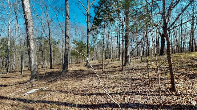 1461 Southside Rd, Southside, TN 37171