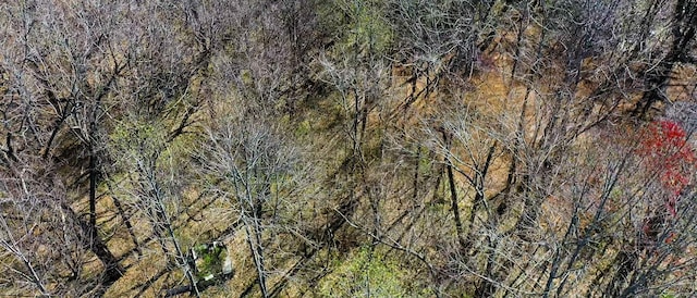 1461 Southside Rd, Southside, TN 37171