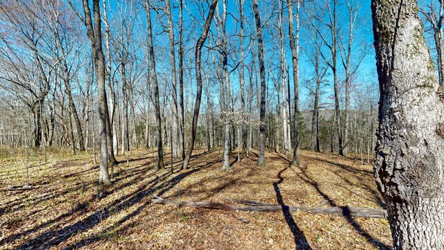 1461 Southside Rd, Southside, TN 37171