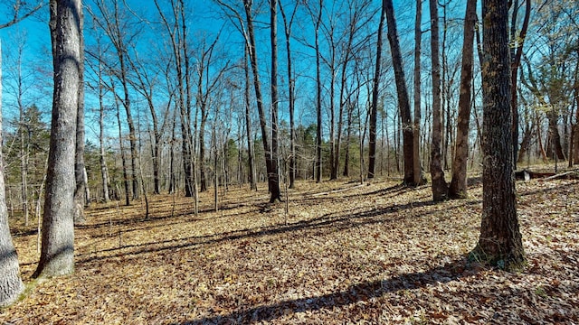 1461 Southside Rd, Southside, TN 37171
