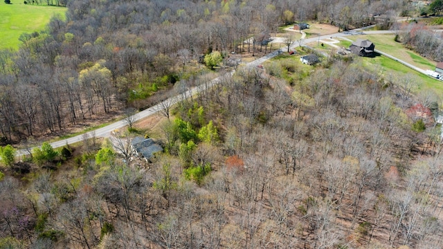 1461 Southside Rd, Southside, TN 37171