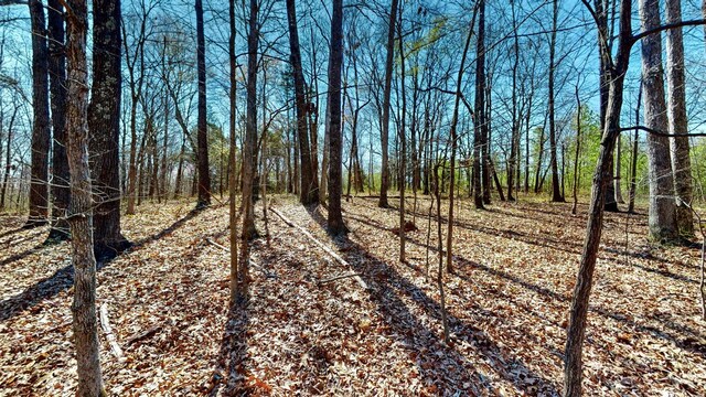 1461 Southside Rd, Southside, TN 37171