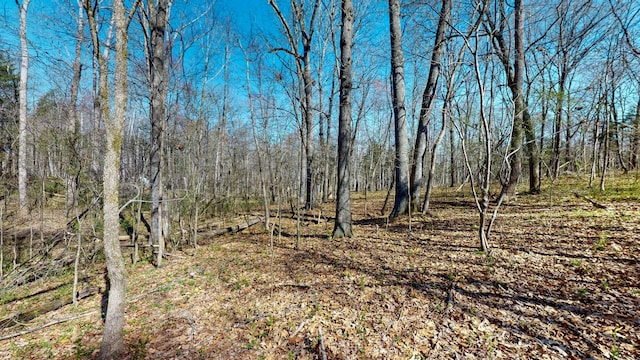 1461 Southside Rd, Southside, TN 37171