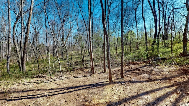 1461 Southside Rd, Southside, TN 37171