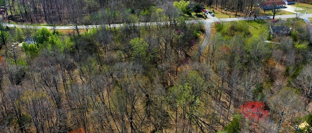 1461 Southside Rd, Southside, TN 37171