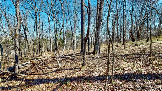 1461 Southside Rd, Southside, TN 37171