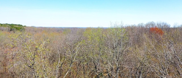 1461 Southside Rd, Southside, TN 37171
