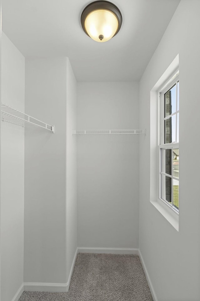 166 Oasis Dr, La Vergne, TN 37086 - spacious closet with carpet flooring