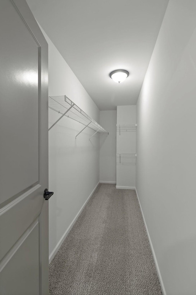 166 Oasis Dr, La Vergne, TN 37086 - walk in closet featuring light colored carpet