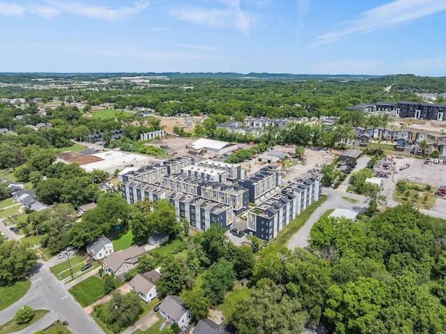 drone / aerial view